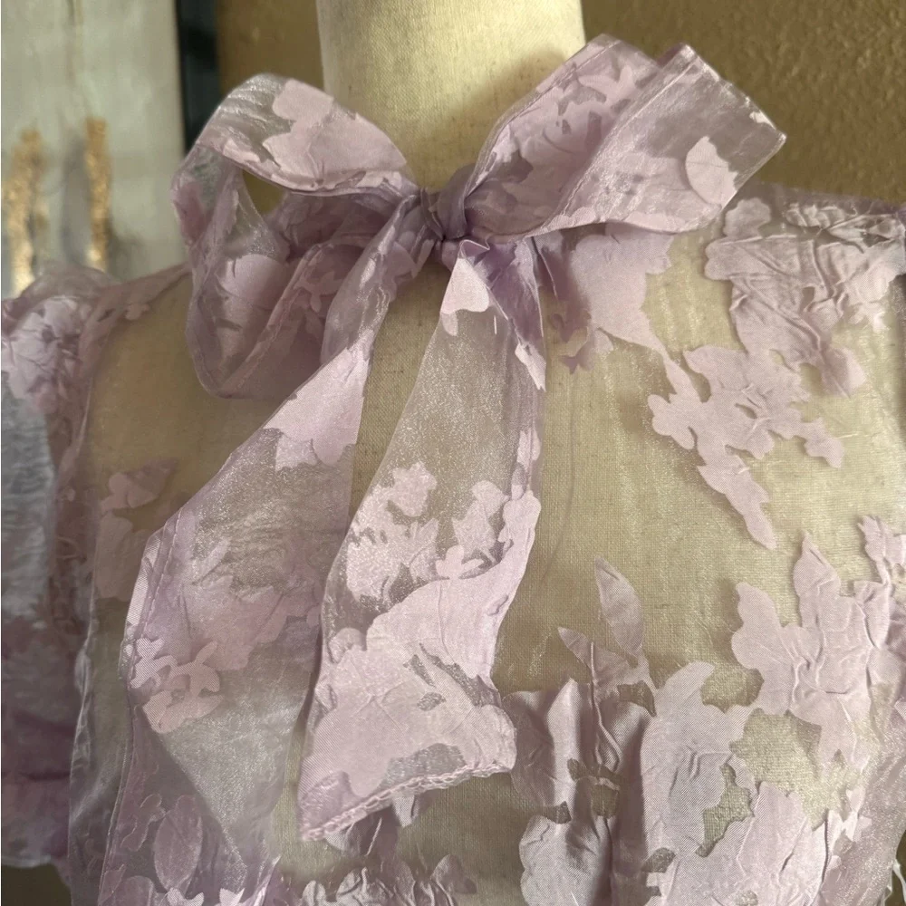 Gorgeous lilac organza sheer top
